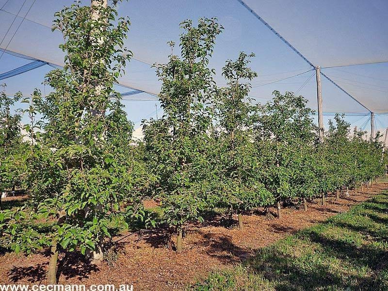 2772 Amiens Road, Pozieres QLD 4352