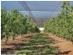 2772 Amiens Road, Pozieres QLD 4352