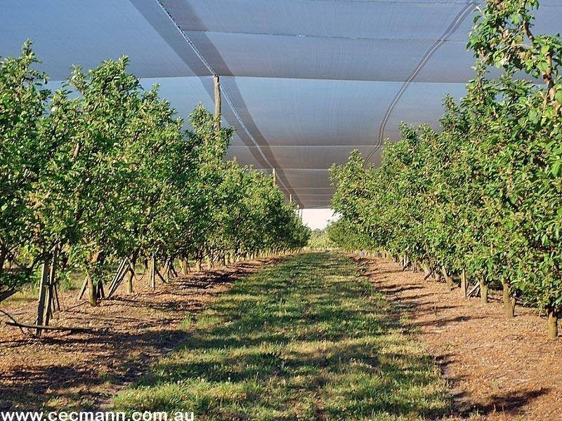 2772 Amiens Road, Pozieres QLD 4352