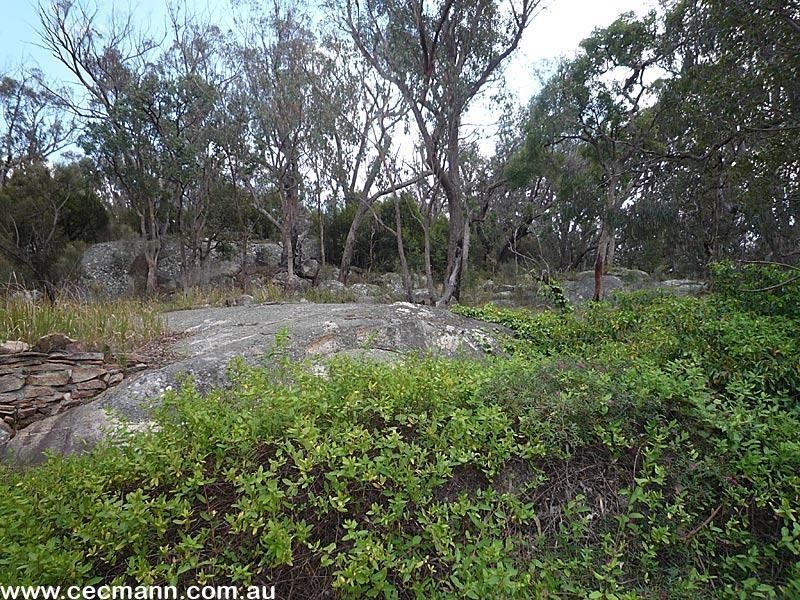 110 Mt Tully Road, Stanthorpe QLD 4380
