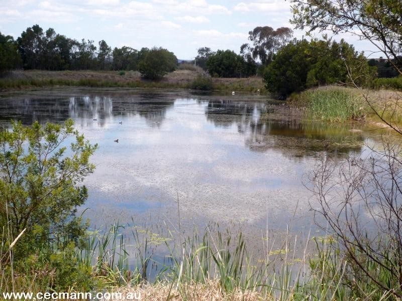 215 Kelly Road, Applethorpe QLD 4378