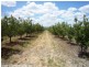 215 Kelly Road, Applethorpe QLD 4378