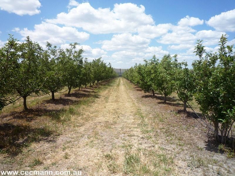 215 Kelly Road, Applethorpe QLD 4378