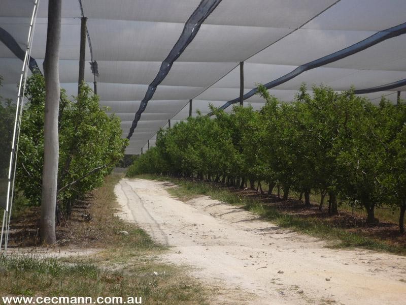 215 Kelly Road, Applethorpe QLD 4378
