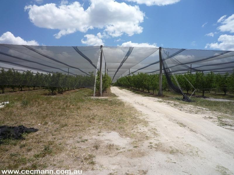 215 Kelly Road, Applethorpe QLD 4378