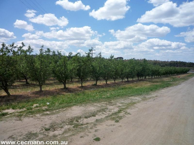 215 Kelly Road, Applethorpe QLD 4378