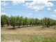 215 Kelly Road, Applethorpe QLD 4378