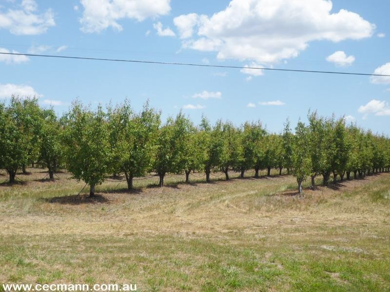 215 Kelly Road, Applethorpe QLD 4378