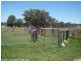 29 McClure Lane, The Summit QLD 4377
