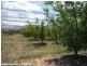Applethorpe QLD 4378