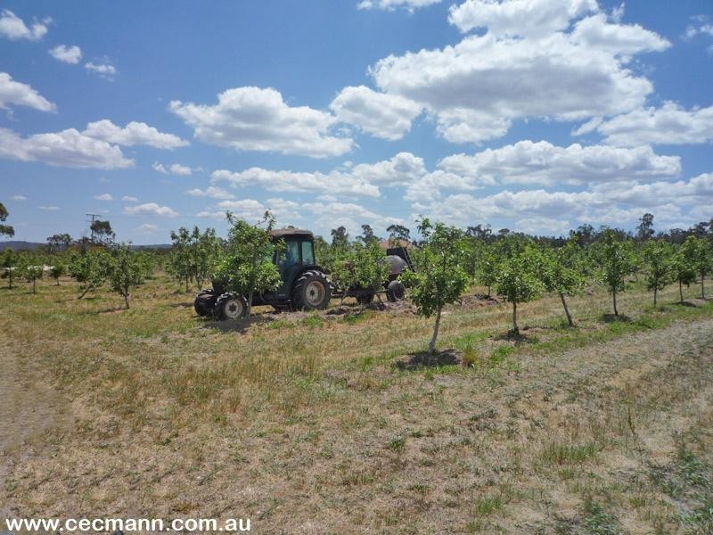Applethorpe QLD 4378