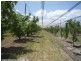 Applethorpe QLD 4378