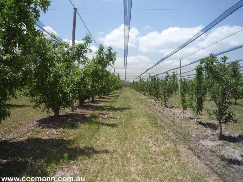 Applethorpe QLD 4378