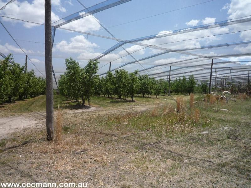 Applethorpe QLD 4378