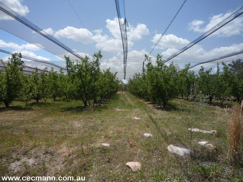 Applethorpe QLD 4378