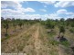 Applethorpe QLD 4378
