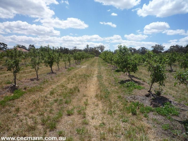 Applethorpe QLD 4378