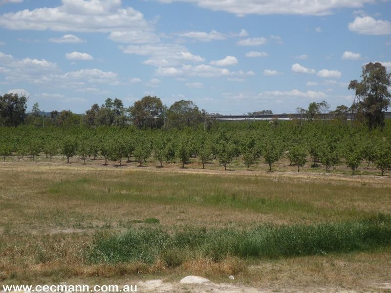 263 Kelly Road, Applethorpe QLD 4378