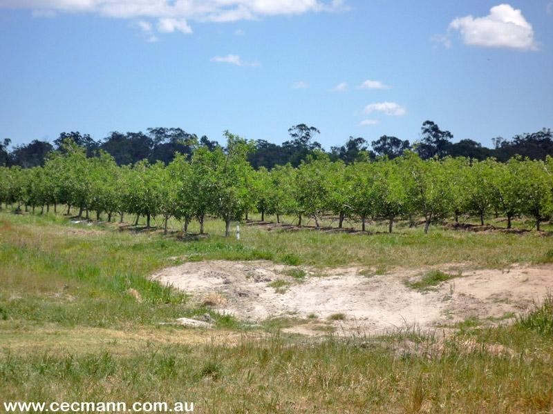 263 Kelly Road, Applethorpe QLD 4378