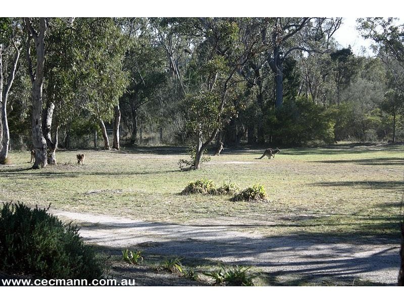 24 Lees Mountain Road, Stanthorpe QLD 4380