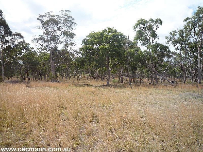 Lot 43 Nundubbermere Road, Broadwater QLD 4380