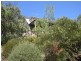 79 Lees Mountain Road, Stanthorpe QLD 4380