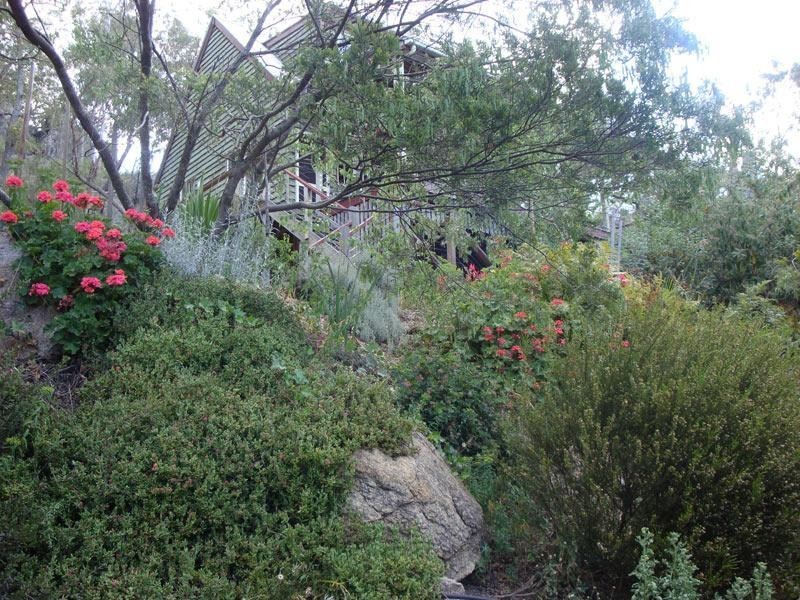 79 Lees Mountain Road, Stanthorpe QLD 4380