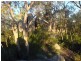 79 Lees Mountain Road, Stanthorpe QLD 4380
