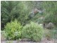 79 Lees Mountain Road, Stanthorpe QLD 4380