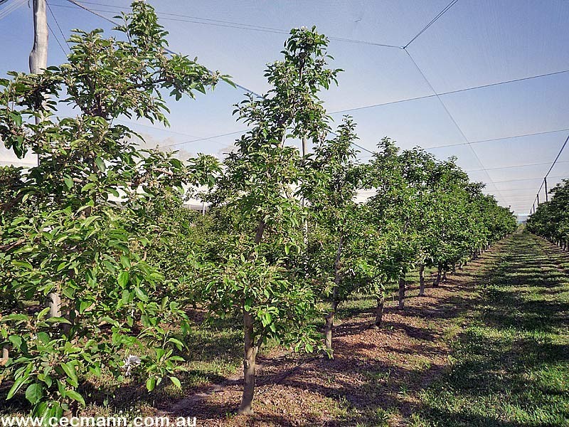 2772 Amiens Road, Stanthorpe QLD 4380