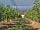 2772 Amiens Road, Stanthorpe QLD 4380