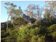 79 Lees Mountain Road, Stanthorpe QLD 4380