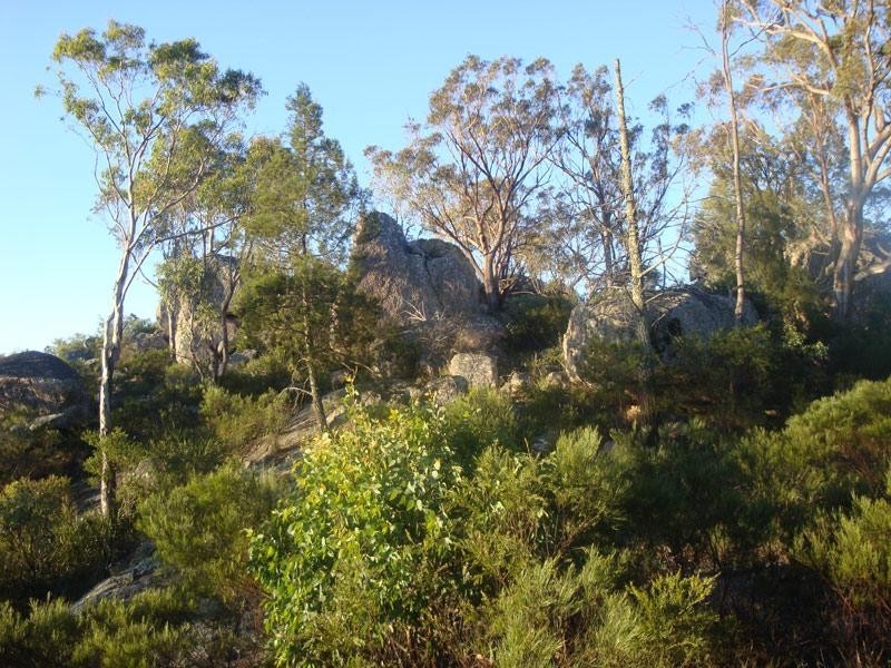 79 Lees Mountain Road, Stanthorpe QLD 4380