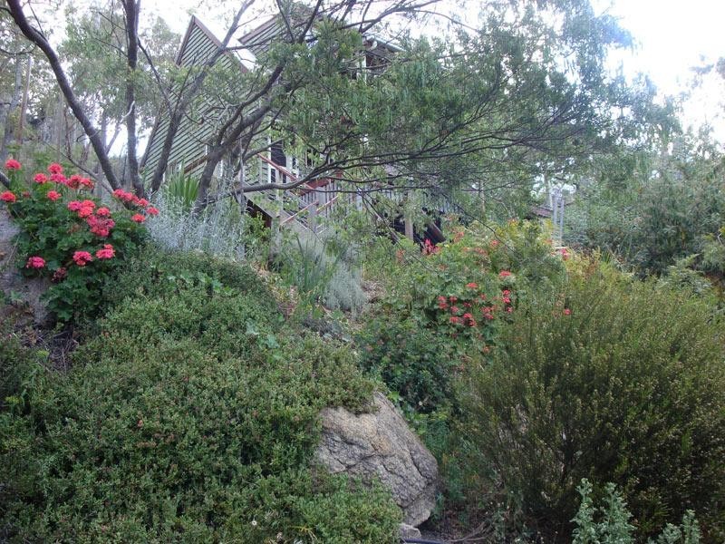 79 Lees Mountain Road, Stanthorpe QLD 4380