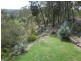 79 Lees Mountain Road, Stanthorpe QLD 4380