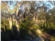 79 Lees Mountain Road, Stanthorpe QLD 4380