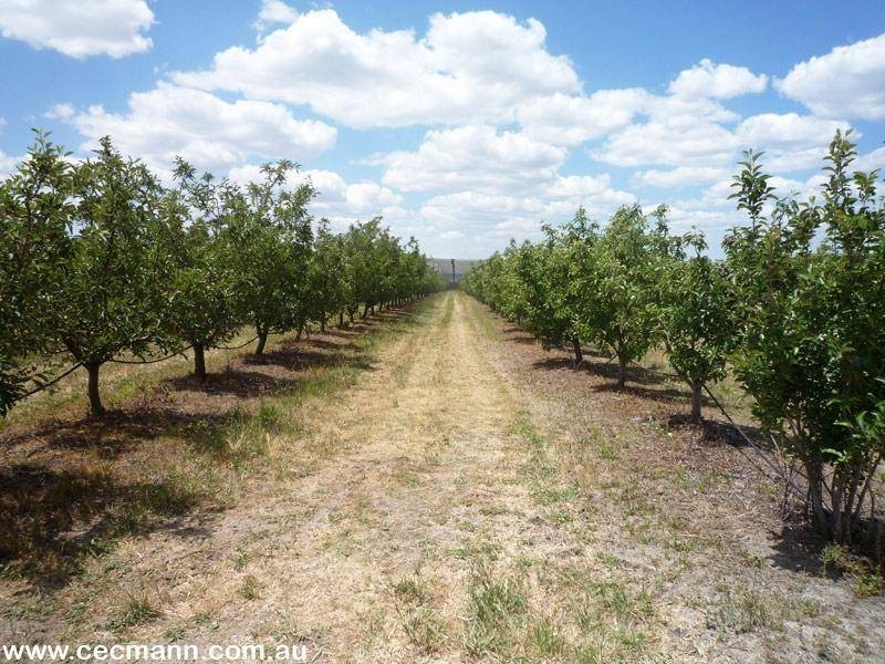 Applethorpe QLD 4378