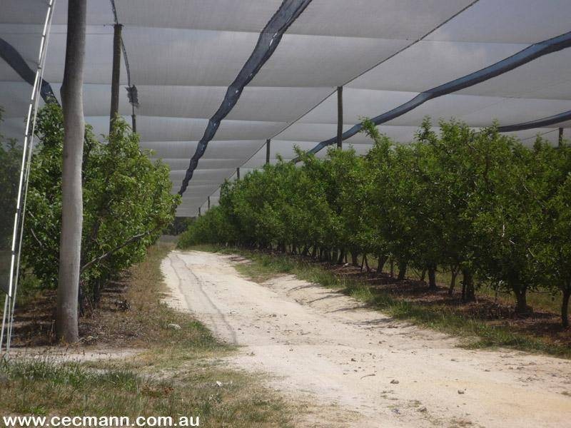 Applethorpe QLD 4378