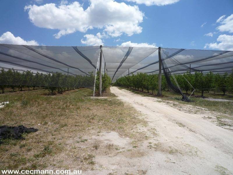 Applethorpe QLD 4378