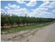 Applethorpe QLD 4378