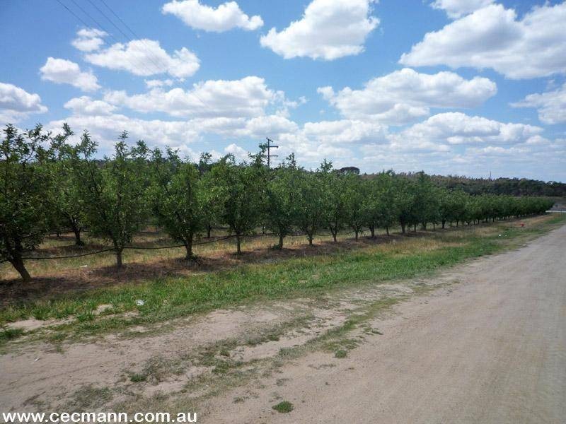 Applethorpe QLD 4378