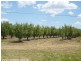 Applethorpe QLD 4378