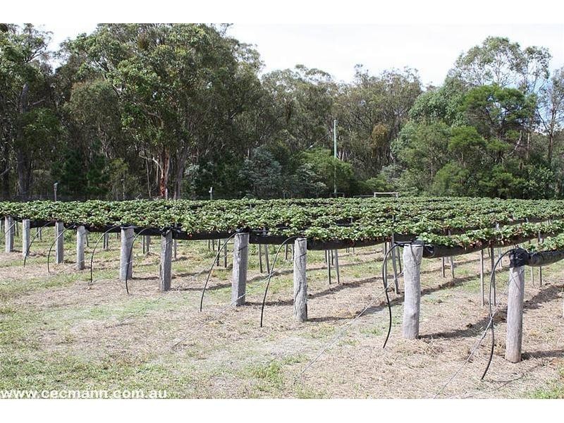 30 Pozieres Road, Cottonvale QLD 4375