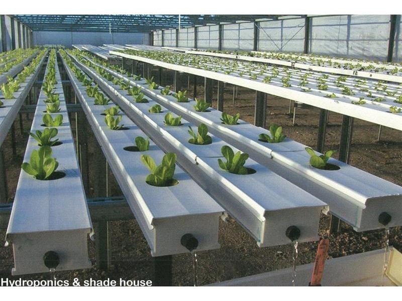 30 Pozieres Road, Cottonvale QLD 4375