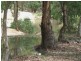 751 Spring Creek Road, Amiens QLD 4352