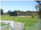751 Spring Creek Road, Amiens QLD 4352