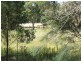 751 Spring Creek Road, Amiens QLD 4352