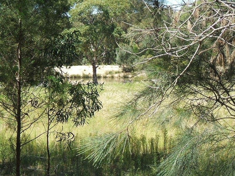 751 Spring Creek Road, Amiens QLD 4352