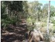 751 Spring Creek Road, Amiens QLD 4352