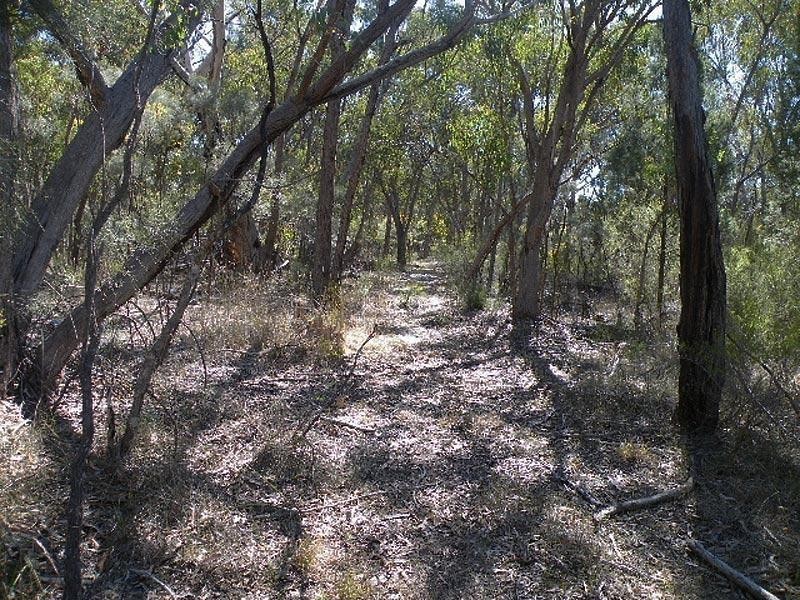 751 Spring Creek Road, Amiens QLD 4352